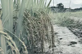 你拍照别人总是看不懂？用9张失败的照片告诉你，这是为什么图片