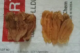 详细讲解：深受好评的苏里南北海和其他北海有什么区别呢？图片