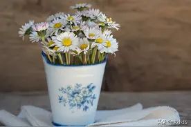 人过中年，有些桃花运，是劫不是缘图片