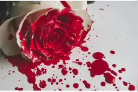那个儿媳，被公公杀死了图片