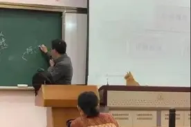 流浪猫变学霸算什么？华东政法的猫都在监考了…图片