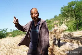 河南深山中发现4户人家，7口人过着传统农耕生活，看麦收忙成啥样图片
