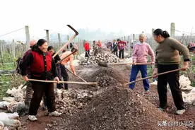 农村创业干啥能快速致富？隐藏在乡镇的45个项目，总有一个适合你图片