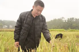 「奋斗百年路 启航新征程·圆梦小康」“读书不是为了离开家乡”——攸县双凡村王敏回乡创业的故事图片