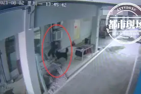 实惨！男子上厕所遭遇烈犬袭击，屁股上留下一排牙齿印图片