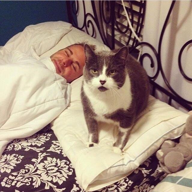 20ŸЦͼƬ֤èԺҵжôḻʡ
