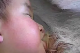 孩子刚出生没了娘，靠吃山羊奶到了两岁，喜当小羊羔图片