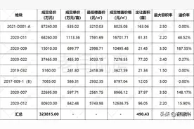 刚刚，德州新地王登基！东海制造！单价高达1113万/亩图片