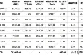 刚刚，德州新地王登基！东海制造！单价高达1113万/亩图片