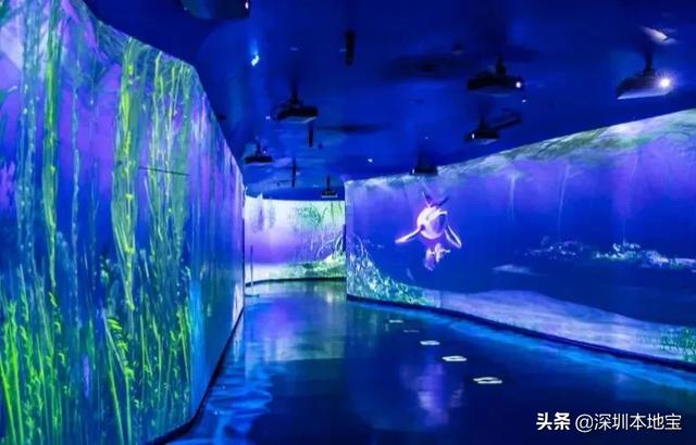 深圳海洋公园门票价格 深圳海洋公园门票价格2019年(图16) 深圳海洋公园门票价格 深圳海洋公园门票价格2019年(图16)