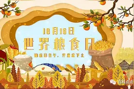 世界粮食日，五谷杂粮有哪些？粒粒皆辛苦，节约粮食，从我做起图片