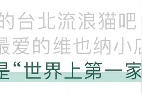 猫咖猪咖鸭咖都有了，婴儿咖还远吗？图片