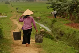 到越南旅游时，分不清中国人和本地人？看看脚就明白了图片