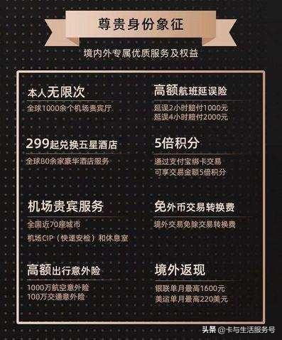 信用卡办卡进度查询，民生88vip精英白金卡入口 配图06