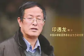 《致敬新时代 礼赞科学家》作品征集展示 —“养猪院士”印遇龙图片