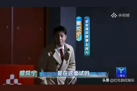 《央之夏》：如果撒贝宁成了倪萍助理，金句女王专治凡尔赛才好看图片