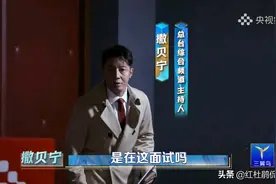 《央之夏》：如果撒贝宁成了倪萍助理，金句女王专治凡尔赛才好看图片