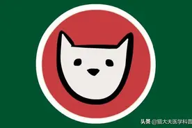 10岁女孩吃“辣条”后腹痛半年，直到遇见第5个医生……图片