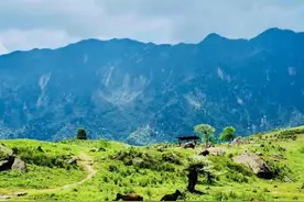 中石油、中石化和中海油，能合并吗？图片