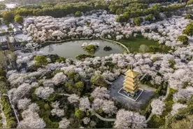 联播+ | 人间·四月天图片