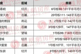 长沙今日8盘认筹中！毛坯9字头！5号线地铁口纯新盘来了图片