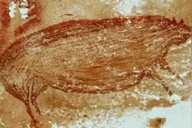 野猪入画图：印尼4万多年前的岩画艺术图片