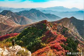 一路由北向南，中国7个红叶最佳打卡地和欣赏时间、十月下旬至十一月中旬是属于淄博的。图片