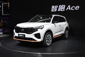 老车新面孔，起亚智跑Ace图片