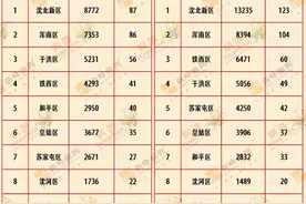 沈阳某楼盘推出4000元特价房源，难道是花式营销？图片