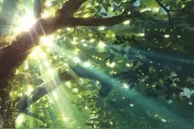 【夜读·诗】《阳光》作者：力匡；朗读：篁竹瑾图片