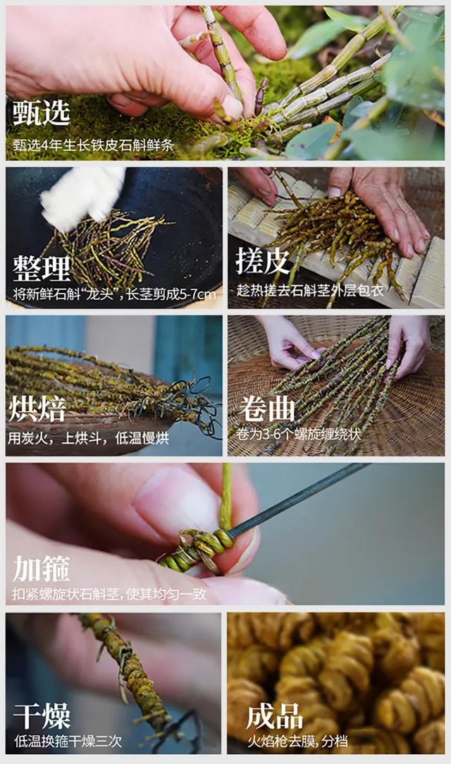 石斛怎么辨别真假好坏 石斛怎么辨别真假好坏图片