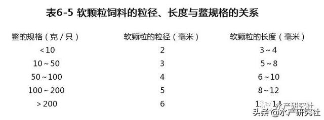 甲鱼鳖类养殖之中华鳖的常用饲料