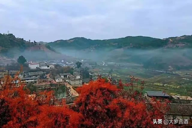 攀枝花盐边县：人人都是好吃嘴