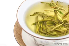 安吉白茶是什么茶？是白茶吗？看完这篇文章让你全面了解安吉白茶图片