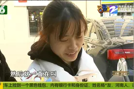 “美短”洗澡时突然死了 店里认为操作正规 猫主人边看监控边哭图片