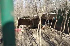 河南省许昌市鄢陵县图片