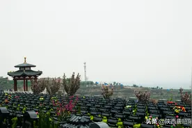 在西安，这些购墓注意事项你必须要知道的图片