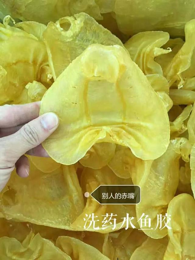 花胶有股很刺鼻的味道 2026年花胶有股臭味什么原因