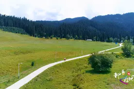 新疆是个好地方｜走进“中国天然氧吧”巩留县享受一次“氧气浴”图片