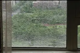 嘉定一小区高层玻璃突然爆裂，出现这些异常情况要注意→图片