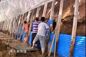 持续强降雨！别让大棚遭了殃，寿光菜农用这个办法让大棚起死回生图片