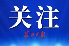武汉市常务副市长胡亚波：集中核酸检测排查工作已比较顺利完成图片