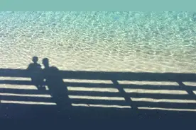 中国式父子关系：看不懂是幸运，看懂了是人生图片