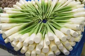 北方人第一次逛南方菜市场，走红朋友圈，被“尊贵”服务感动哭了图片