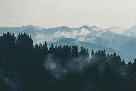 河南卫视再次火上热搜，原来文化人都有这4个特质图片