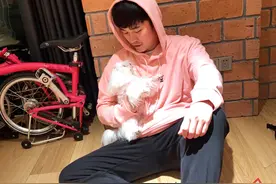 陈赫背后的资本江湖：出轨，直播，综艺，开火锅店700家，凭啥图片