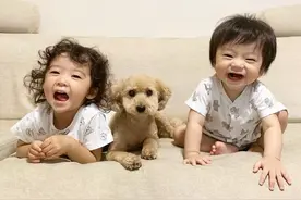 日本小女孩每天和狗狗一起睡觉引网友围观！晒娃晒宠物最高境界图片