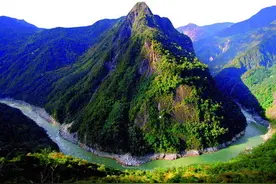 林芝保护野生动植物：为了我们共同的家园图片