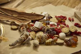 三七粉！真的能将肿瘤拒之门外吗？图片