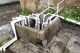小小古井伸进19根水管，井水浇出的咸菜久煲不烂，黄咸菜会返绿图片